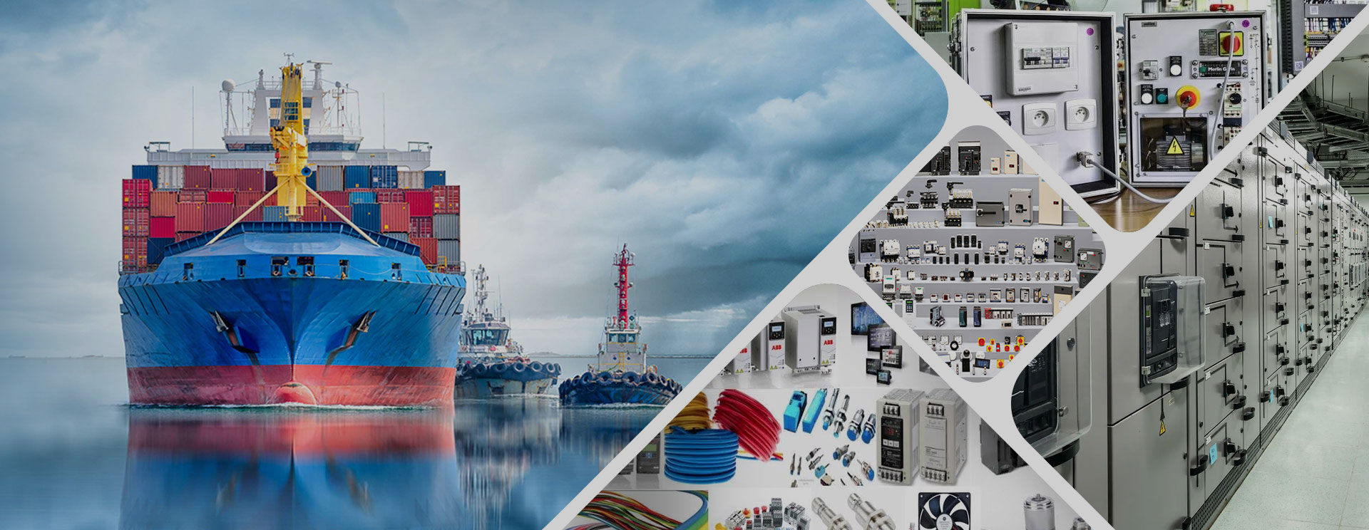 Pneumatic & Electric Diaphragm Pumps